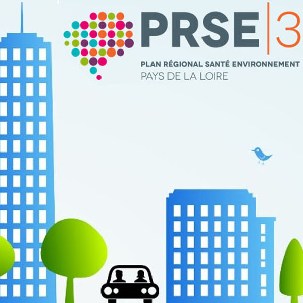 PRSE 3