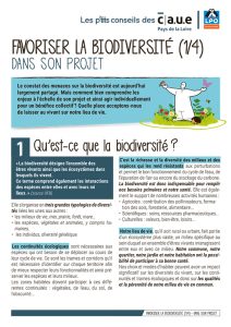Fiche CAP
